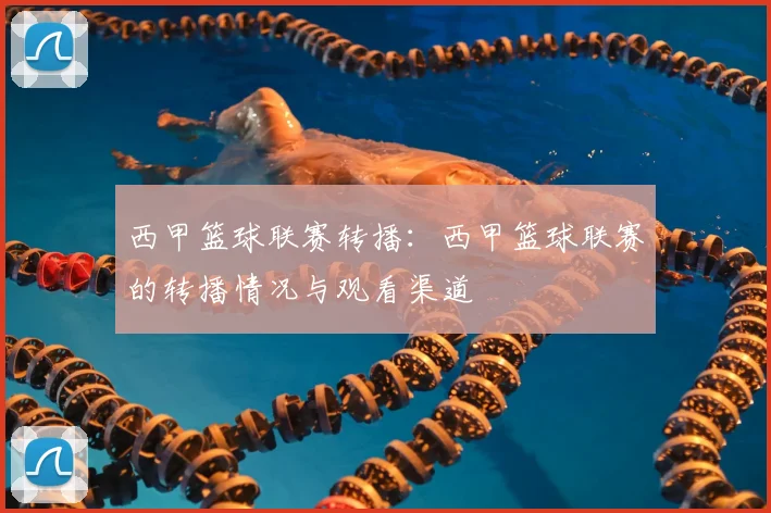 西甲篮球联赛转播:西甲篮球联赛的转播情况与观看渠道