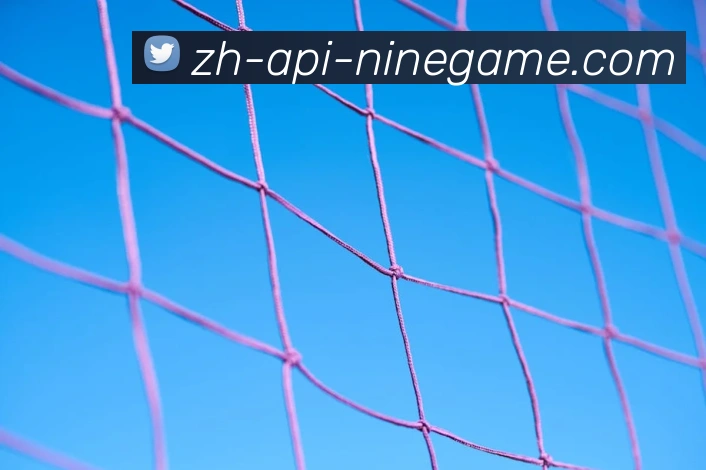 J9九游APP 封面图